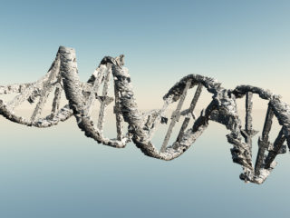 ADN alterat